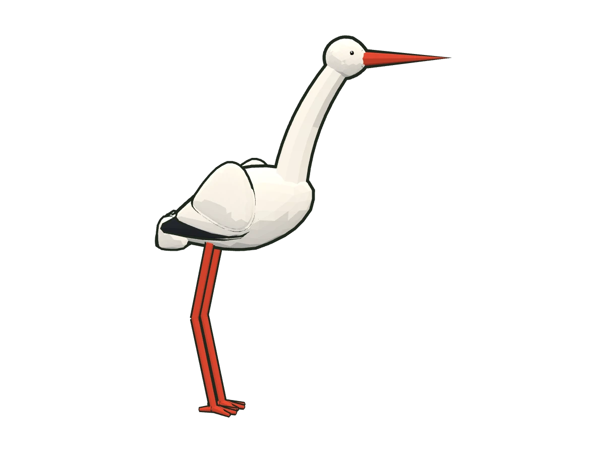 White stork