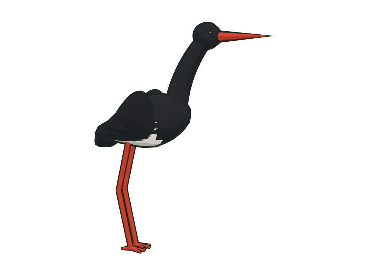 Black stork