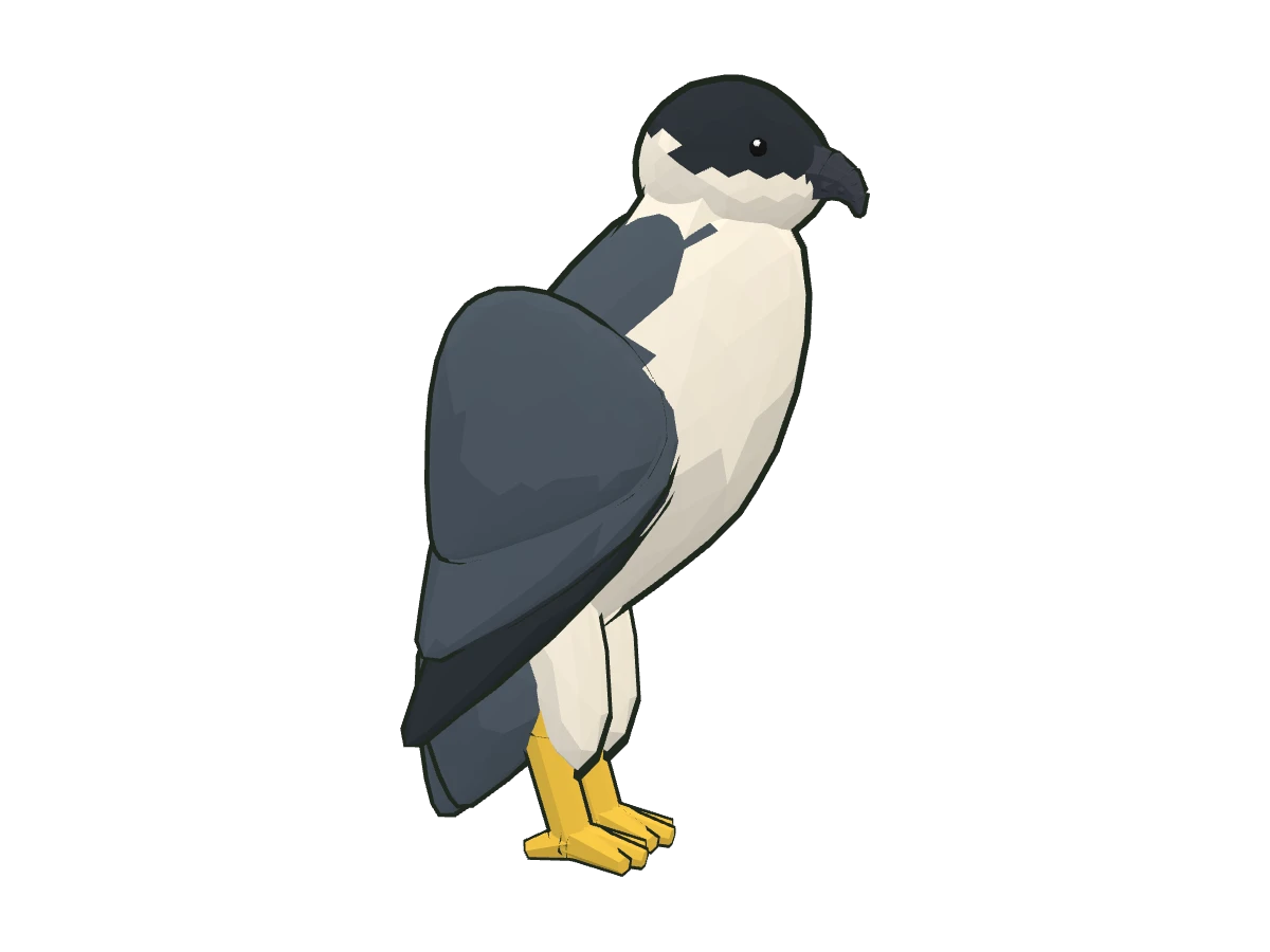 Peregrine falcon