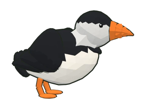 Atlantic puffin