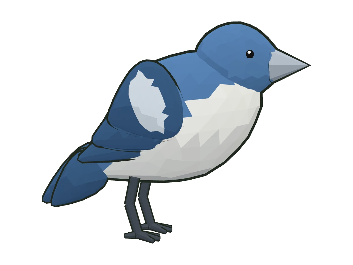 Pinzón azul de Tenerife