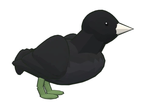 Focha común