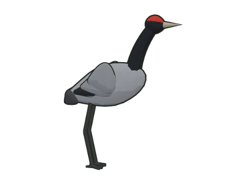 Grulla común