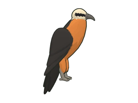 Quebrantahuesos