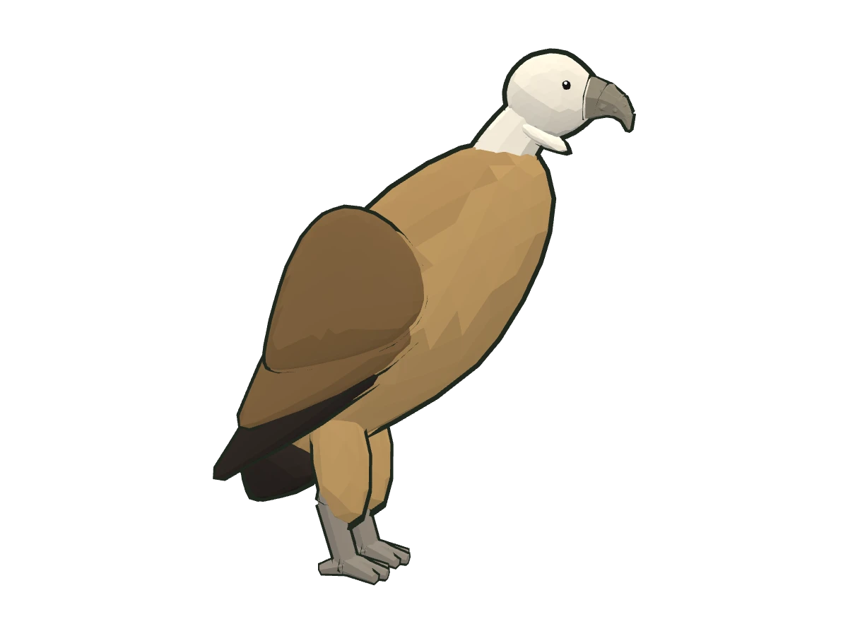 Griffon vulture