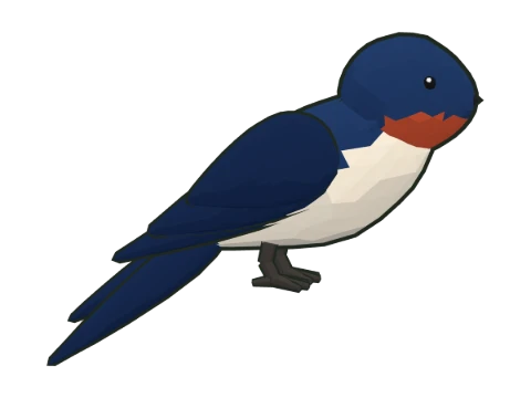 Golondrina común