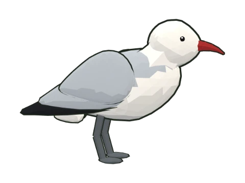 Audouin's gull