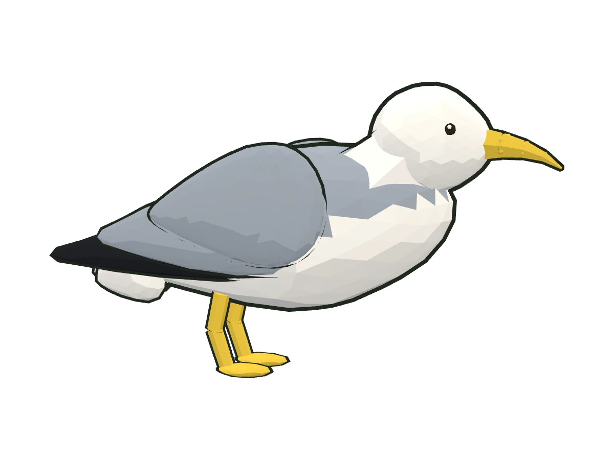 Yellow-legged gull