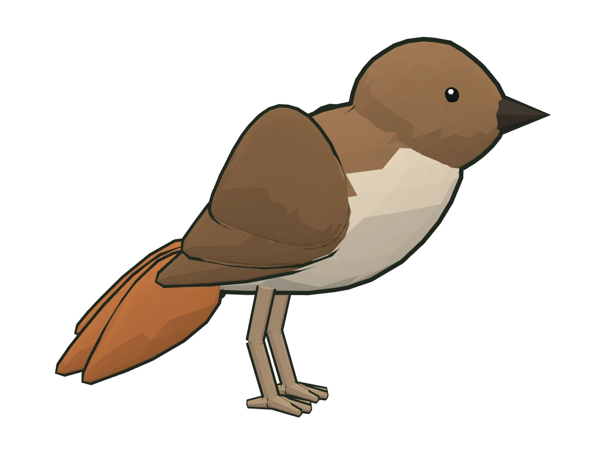 Common nightingale