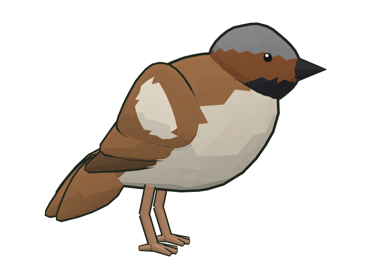 Gorrión común