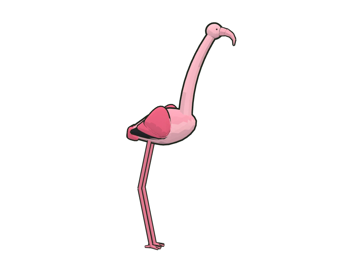 Greater flamingo