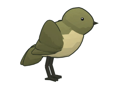 Canary Islands chiffchaff