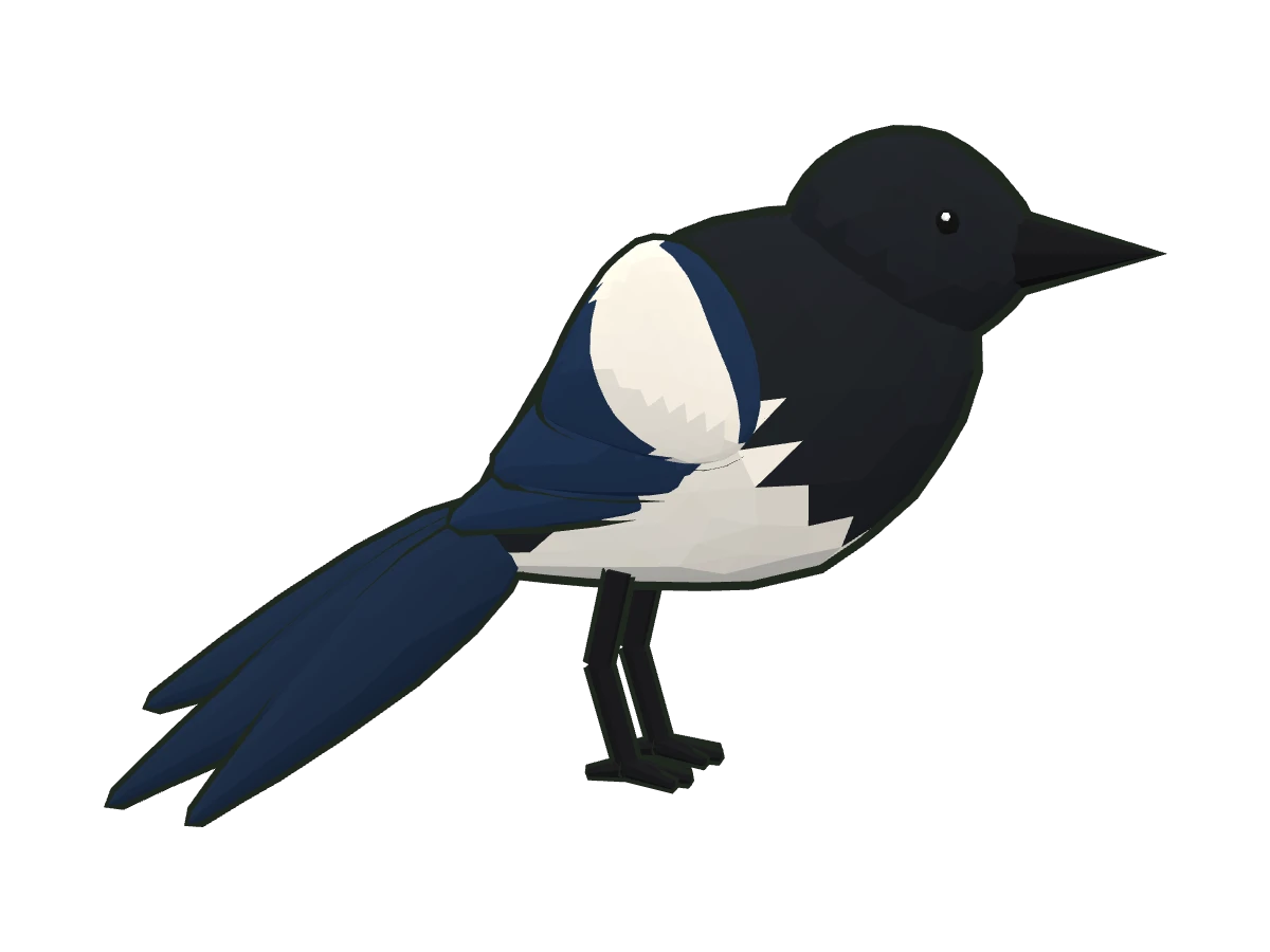 Eurasian magpie