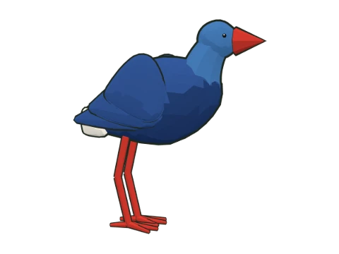 Calamón común