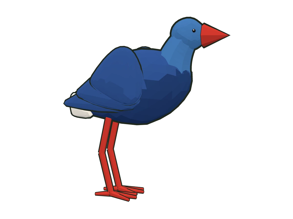 Calamón común