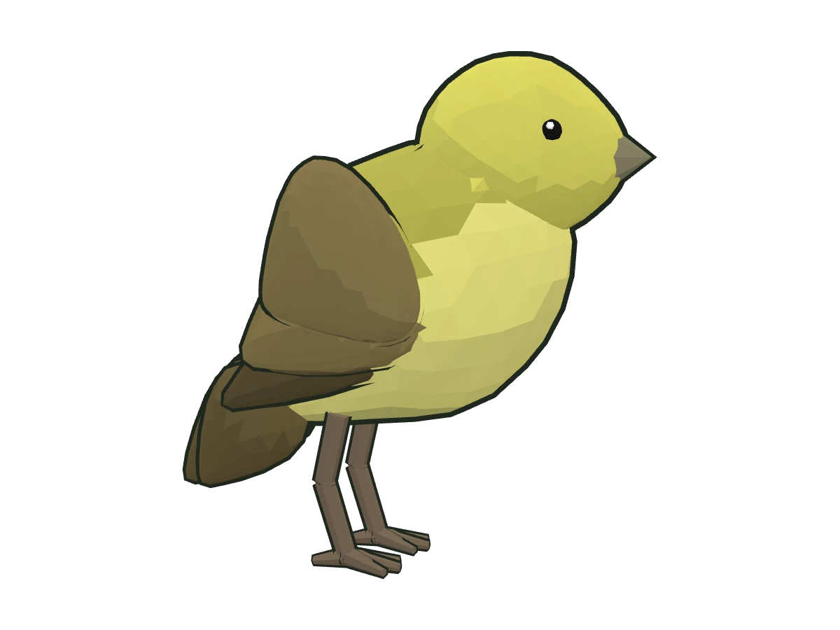 Atlantic canary