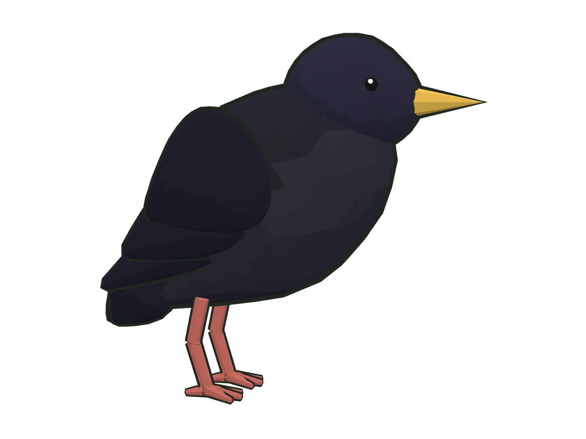 Estornino negro