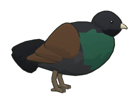 Urogallo común