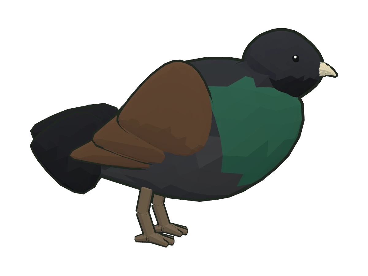 Urogallo común