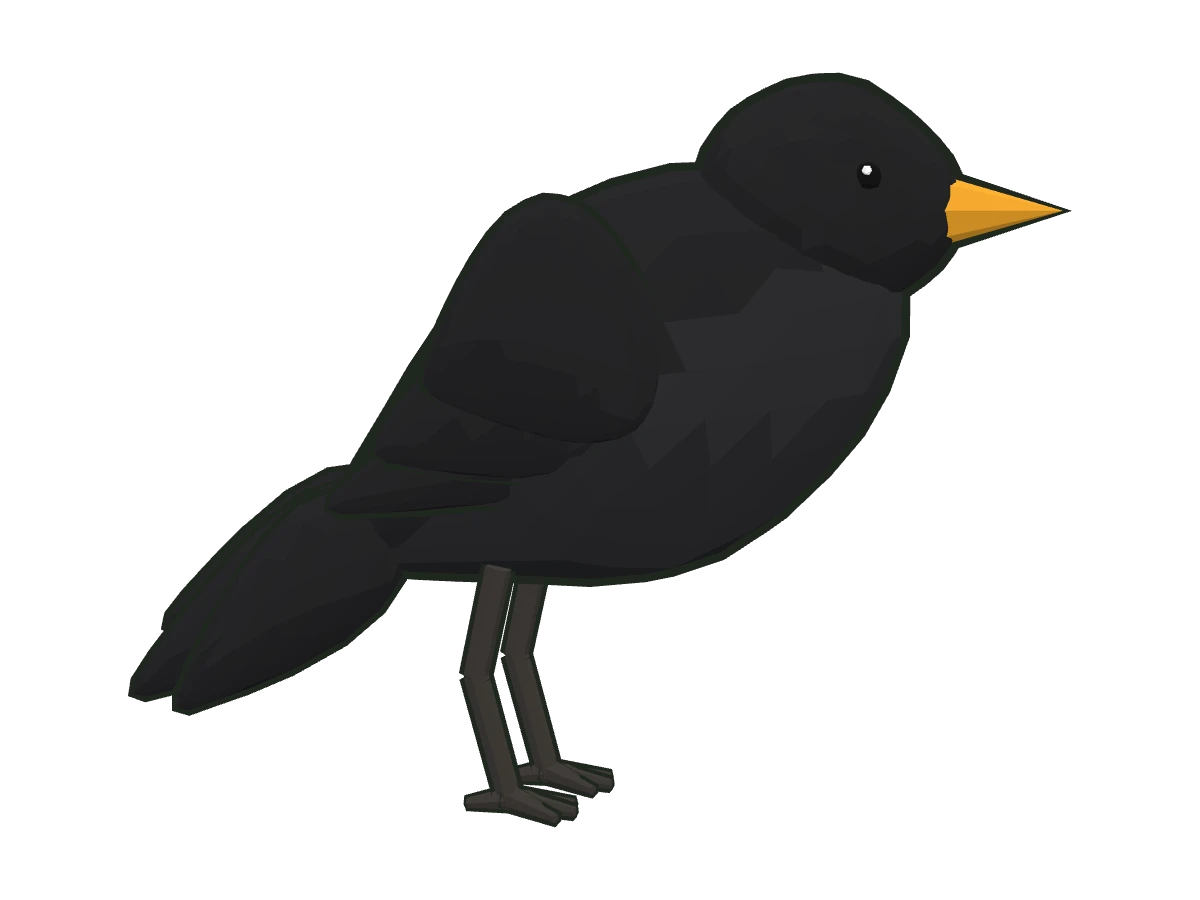 Common blackbird