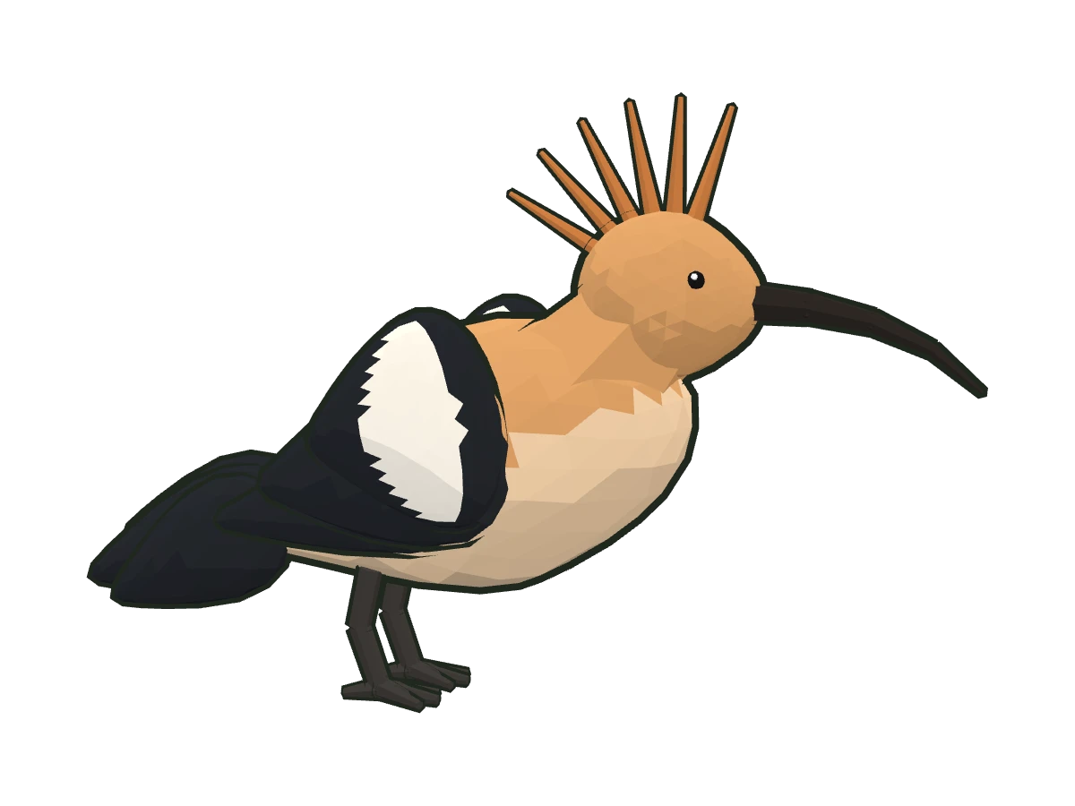 Eurasian hoopoe
